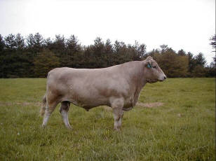 Corey on Spectrum Farm