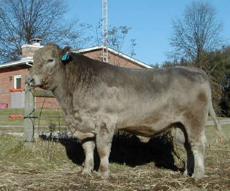 Corey on Spectrum Farm